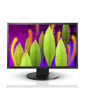 Профессиональный монитор 22" EIZO FlexScan EV2216WFS LED Black