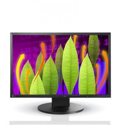 Профессиональный монитор 22" EIZO FlexScan EV2216WFS LED Black