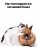 Крем-антиперспирант La Cachette W015 Chance eau Tendre, 30 мл