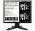 Монитор 19" Eizo Radiforce MX194 черный