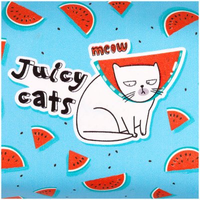 Пенал мягкий, 200*55*40 MESHU "Juicy cats", искусственная кожа, 332421