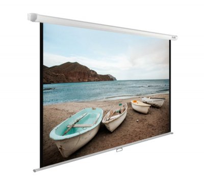 Экран Cactus 138x220см WallExpert (CS-PSWE-220x138-WT) 16:10 настенно-потолочный рулонный белый