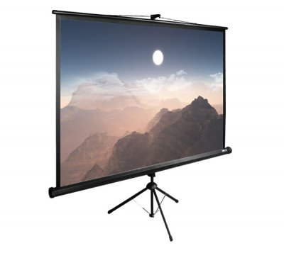 Экран Cactus 180x180см TriExpert (CS-PSTE-180x180-BK) 1:1 напольный рулонный