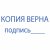 Штамп стандартный "КОПИЯ ВЕРНА, подпись", оттиск 38х14 мм, синий, TRODAT IDEAL 4911 DB-3.42, 161490 Штамп стандартный "КОПИЯ ВЕРНА, подпись", оттиск 38х14 мм, синий, TRODAT IDEAL 4911 DB-3.42, 161490
