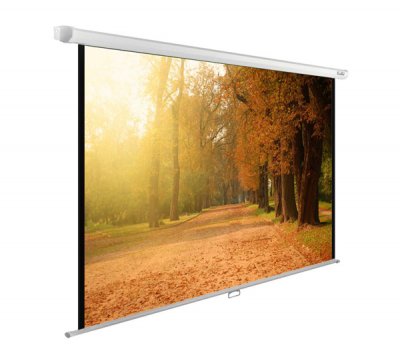 Экран Cactus 125x200см WallExpert (CS-PSWE-200x125-WT) 16:10 настенно-потолочный рулонный