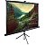 Экран Cactus 220x220см TriExpert CS-PSTE-220x220-BK 1:1 напольный рулонный черный