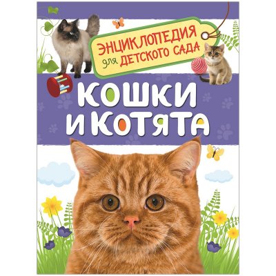 Энциклопедия Росмэн 162*215, "Кошки и котята", 48стр., 335709, 33889