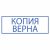Штамп стандартный "КОПИЯ ВЕРНА" В РАМКЕ, оттиск 38х14 мм, синий, TRODAT IDEAL 4911 DB-3.45, 161491