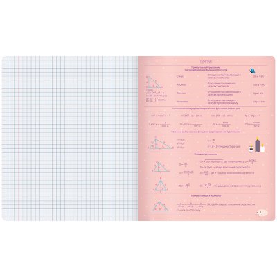 Тетрадь предметная 48л. MESHU "Study for life" - Геометрия, 310013