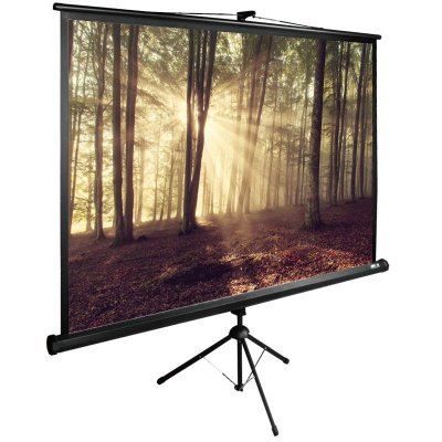 Экран Cactus 135x180см TriExpert CS-PSTE-180x135-BK 4:3 напольный рулонный черный