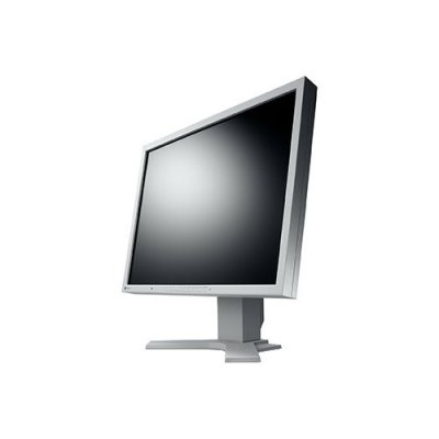 Профессиональный монитор 21" EIZO FlexScan S2133 Grey