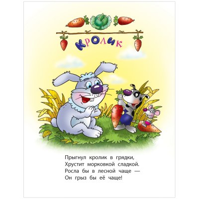 Книга Книжный Дом А5, "Первые уроки. Кто живет в деревне", 10стр., 333968, ART095143