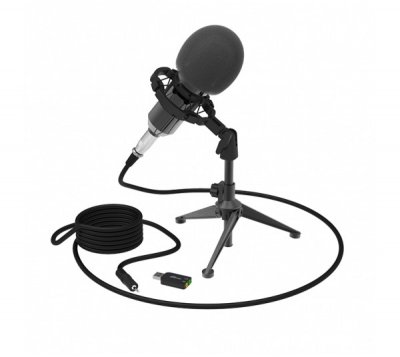 Микрофон RITMIX RDM-160 черный
