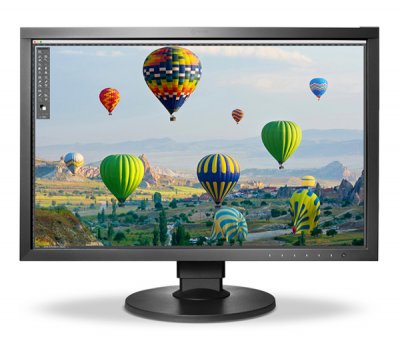 Монитор 24.1" Eizo ColorEdge CS2410 черный
