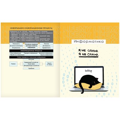 Тетрадь предметная 48л. BG "Kidding" - Информатика, эконом, 333179
