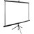 Экран Cactus 200x200см TriExpert CS-PSTE-200x200-BK 1:1 напольный рулонный черный