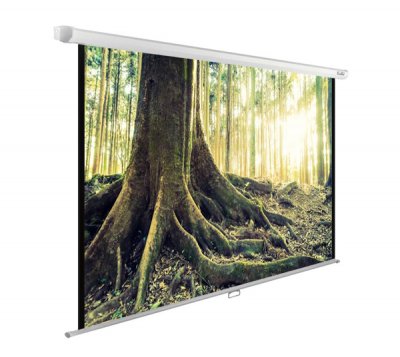 Экран Cactus 220x220см WallExpert (CS-PSWE-220x220-WT) 1:1 настенно-потолочный рулонный