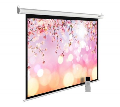 Экран Cactus 220x220см MotoExpert (CS-PSME-220x220-WT) 1:1 настенно-потолочный рулонный белый (моторизованный привод)